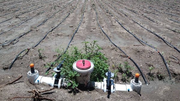 Baja tecnificación agrícola en Guanajuato: solo el 0.2% de hectáreas modernizadas